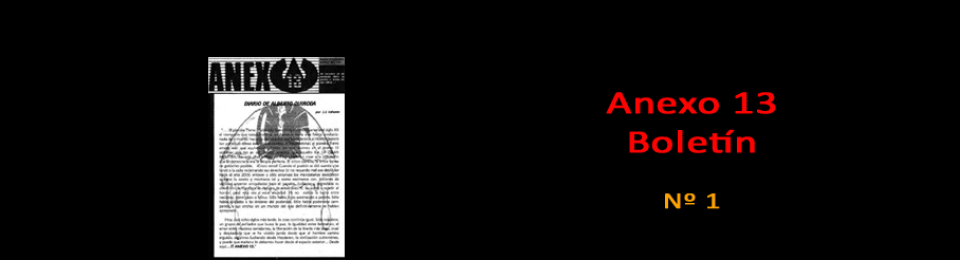 Anexo 13 (3)
